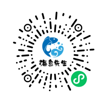 海岛先生